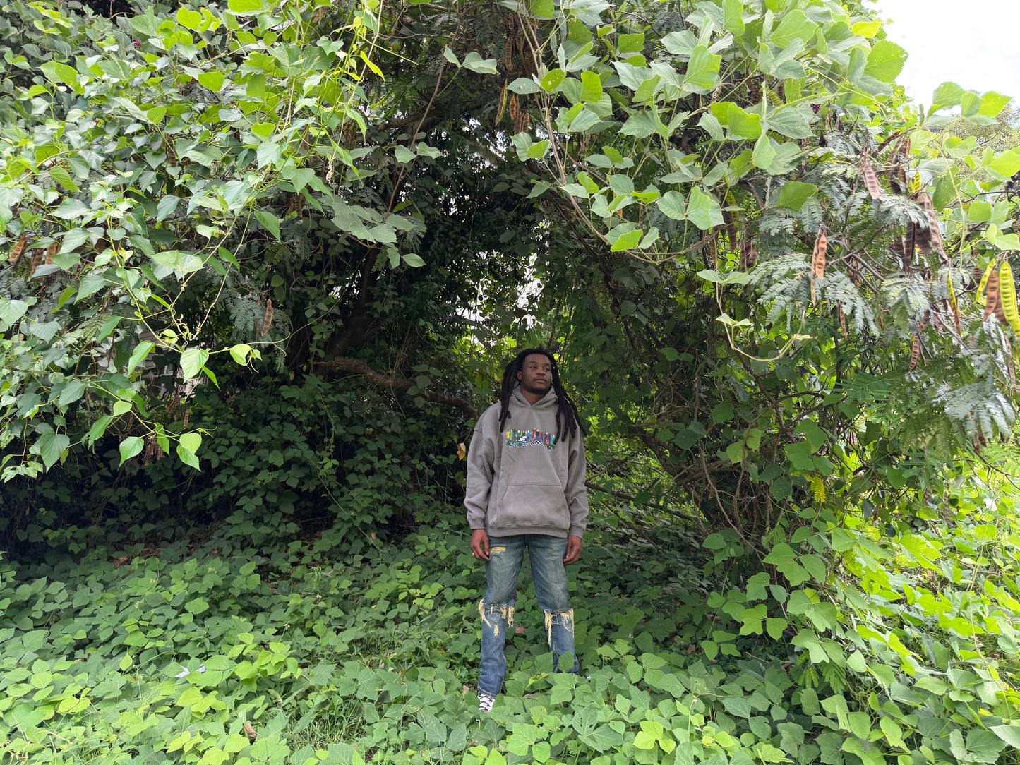 KOALA GRAY PEOPLE HOODIE