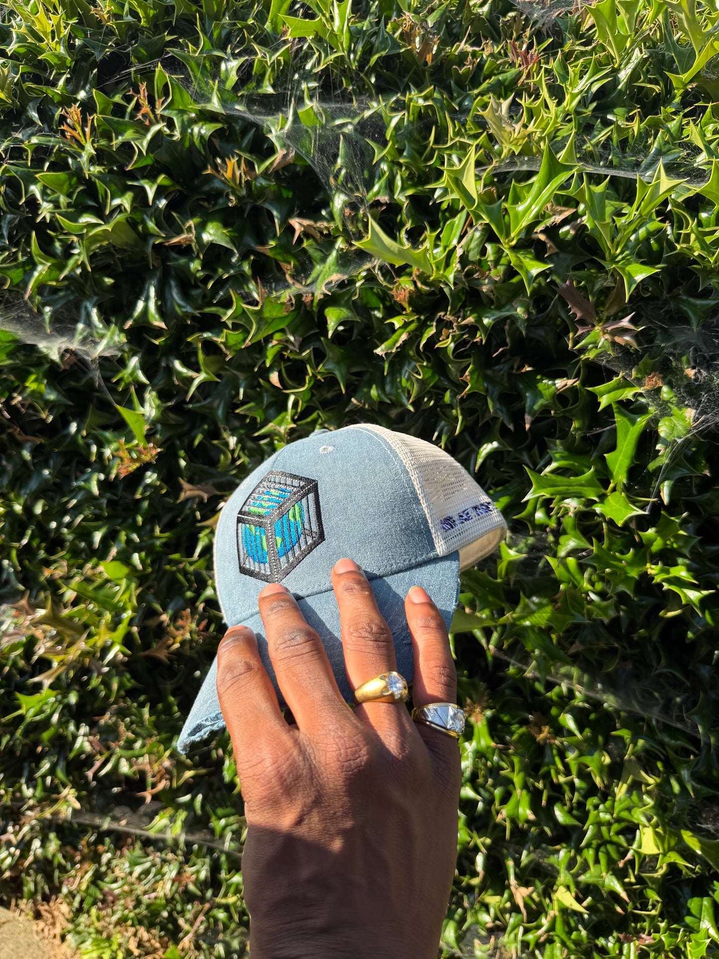 EARTH IN A CAGE HAT
